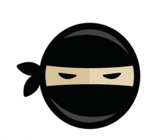 Code Ninjas logo image of a ninja